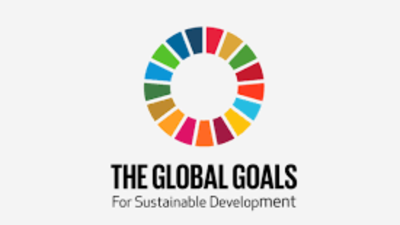 What are Sustainable Development Goals?