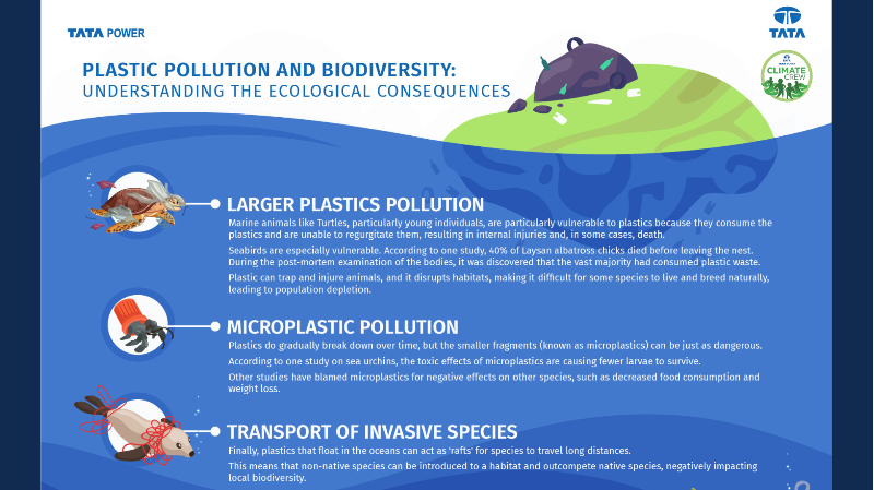 PLASTIC POLLUTION & BIODIVERSITY QUIZ